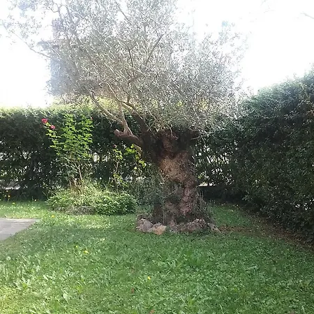 Tania * Muggiò